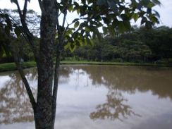 Fotos Similares: Chácara 5.886 m2 com Tanque, água Encanada, Energia 5 Km de Artur Nogueira, Px. Holambra 