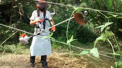 Onda Verde Serviços Agroecologicos