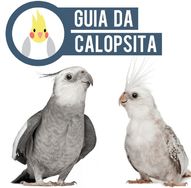 Calopsitas - Guia da Calopsita Completo + 5 Bonus