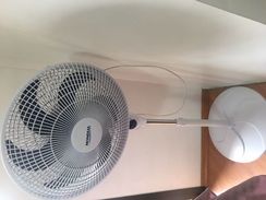 Fotos Similares: Ventilador Mondial Grande 