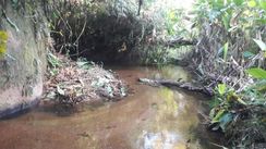 Sítio em Tapirai 160 Km Campinas