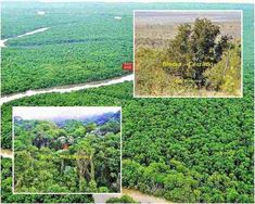 área para Reserva Legal Bioma Cerrado e Mata Atlantica