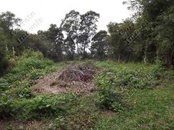 Terreno em Taquara - Morro do Leôncio por 200 Mil para Comprar