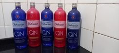 Gin 2 Garrafas de Gin Strawberry 3 Garrafas de Gin London Dry - Intenc