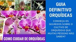 Guia Definitivo - Orquídeas