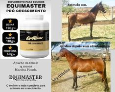 Equimaster Crescimento 3 Kilos