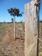 Mão de Obra para Cerca, Piquetes, Baias, Cural