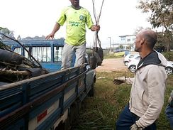 Fotos Similares: Mudas Nativa em Guarulhos Zap 