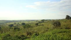 Fazenda para Pecuária