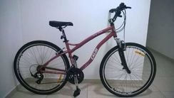 Bicicleta Easy Rider Caloi com Nota Fiscal da Loja