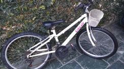 Bicicleta Caloi Ceci Aro 24