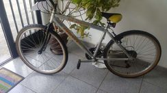 Bicicleta Prince Dx 400