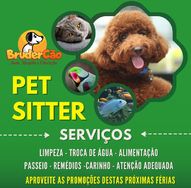 Adestrar Cães em São José dos Campos e Jacareí