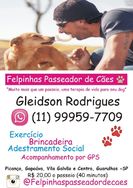 Felpinhas Passeador de Cães