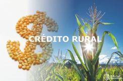 Credito para Aquisição de Imóvel Rural !