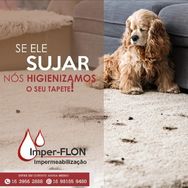 Imper-flon Limpeza e Impermeabilização de Sofás