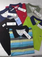 Kit 50 Camisas Polo