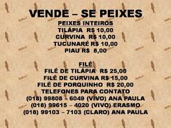 Vende SE Peixes