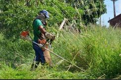 Roçagem e Manutenção de Terrenos