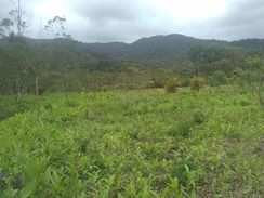 Terreno para Chácara à Venda em Mongaguá