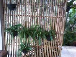 Venda Cercas de Bambu em Buziosbambu Design