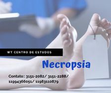 Curso de Necropsia Turmas de Manhã ou a Noite São Paulo