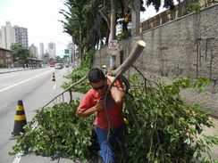 Jardinagem e Paisaguimos