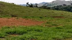 Terreno de 1.000 Metros em Cambui-mg