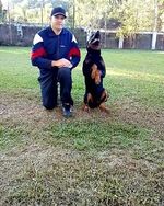 Adestramento de Cães a Domicílio