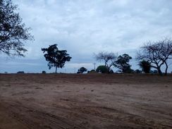 Lotes e Terrenos para Ranchos em Promissão-s.p...!