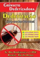 Dedetização para Baratas