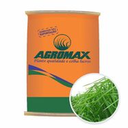 Sementes de Capim Panicum Maximum Mombaça 10 Kg