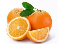 Mudas de Laranja Pera Rio