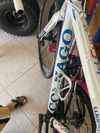 Bicicleta Colnago