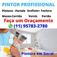 Pintor Profissional