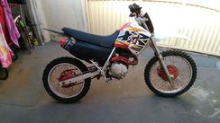 Moto para Tilha Preparada, Honda XR 200cc