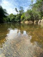 Fazendinha à Venda, 20mil M2, R$ 201 Mil, Encanto da Serra, Jaboticatu