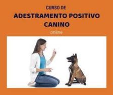 Adestrar Cachorro- Como Educar Seu Cão