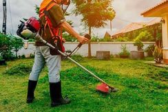 Equipe de Manutenção em Geral em Seu Jardim; árvores; Arbustos; Coroa