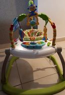 Pula Pula Jumperoo Zoo Fisher Price