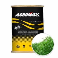 Sementes de Capim Panicum Maximum Mombaça Peletizada 10 Kg