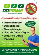 Dd Prime Dedetizadora Ltda-me