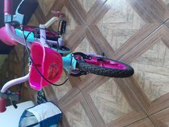 Vendo Bicicleta Marca Bandeirantes da Frozen Aro 16