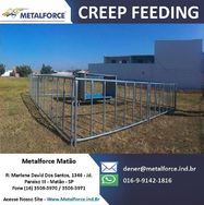 Creep Feeding para Engorda de Bezerros