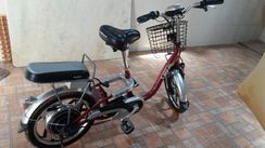 Bicicleta Elétrica Lev