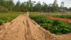 Terreno Embu Guaçu 250 Metros Quadrados