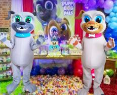 Bingo e Rolly Cover Personagens Vivos Festas Infantil