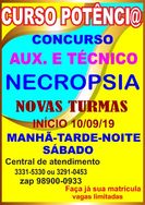 Curso Necropsia