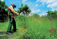 Manutenção de Terenos