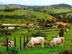 Planos de Crédito Rural